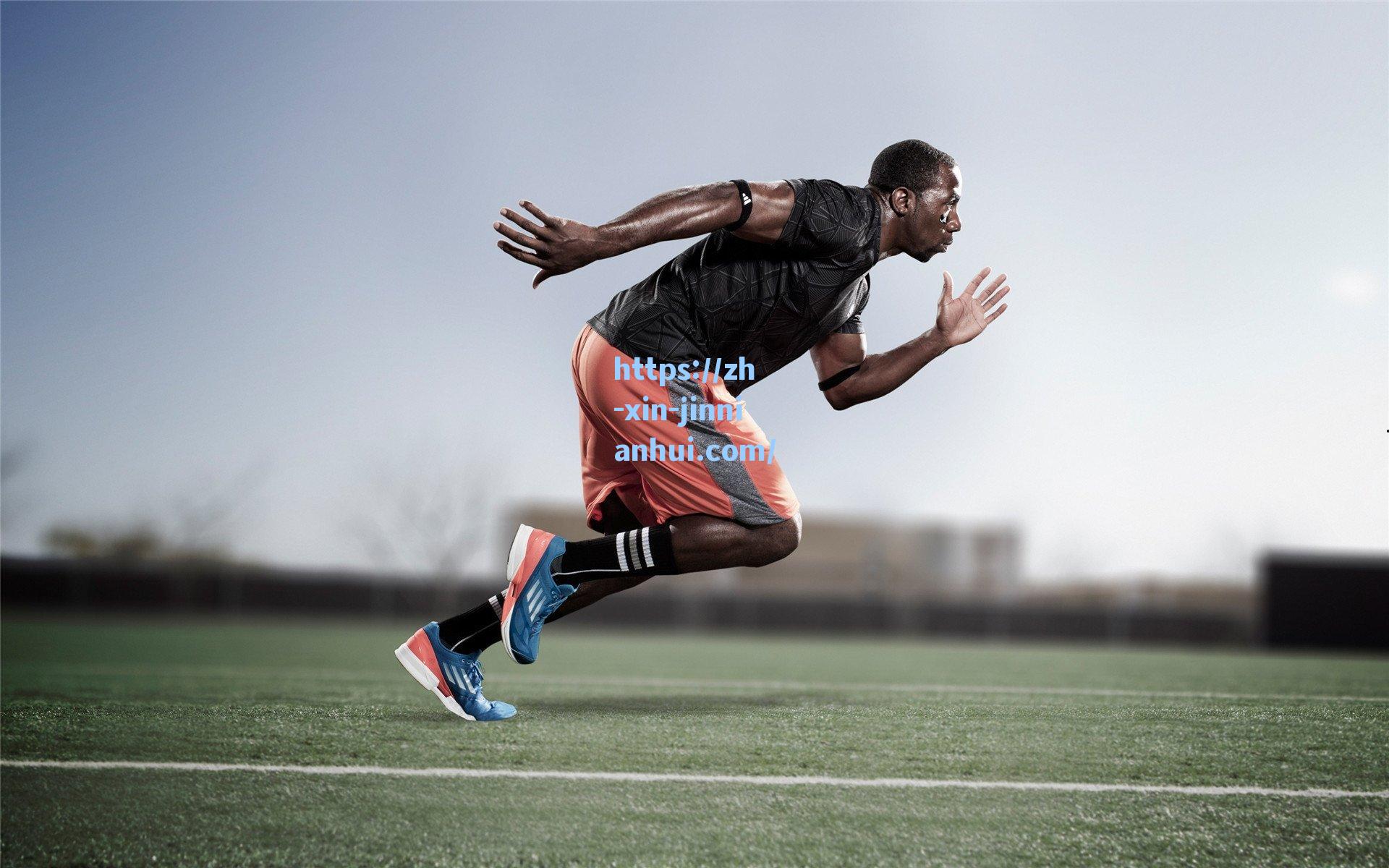 球场激情失控酿悲剧，印第安纳球迷持刀伤人遭逮捕，NBA联盟紧急介入调查