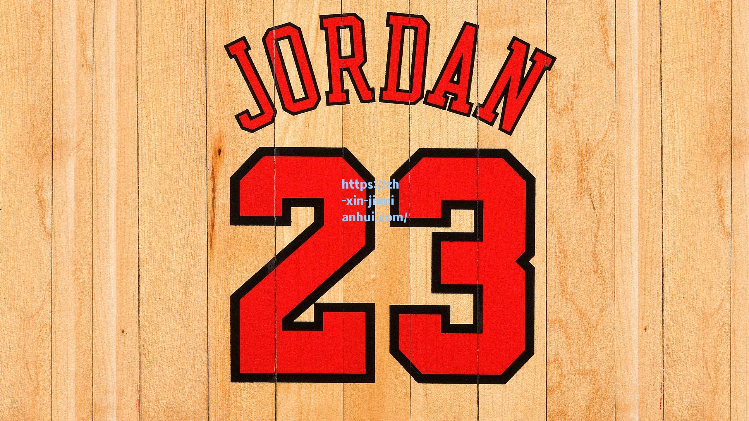 英超标王时间竞赛,维尔茨能否超越费迪南德的3115天纪录?